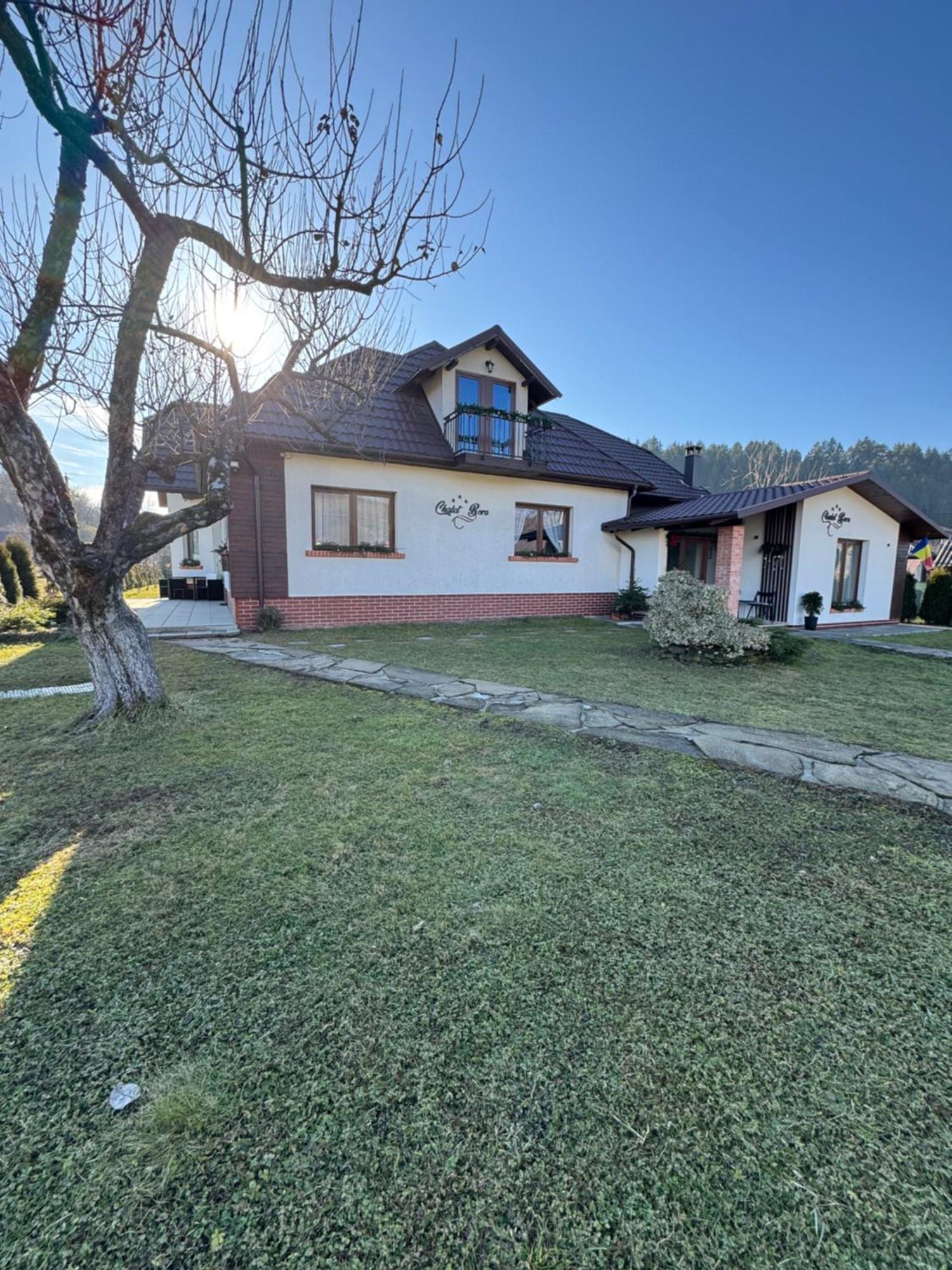Chalet Bora Viseu de Jos Exterior foto