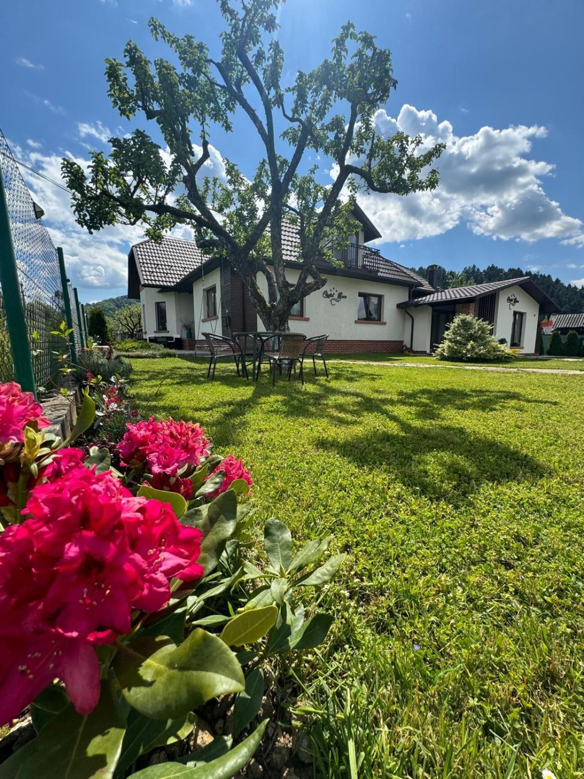 Chalet Bora Viseu de Jos Exterior foto