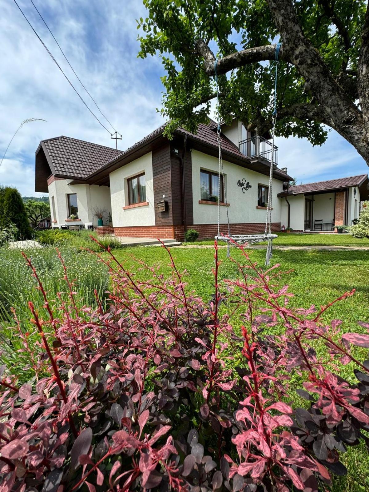 Chalet Bora Viseu de Jos Exterior foto