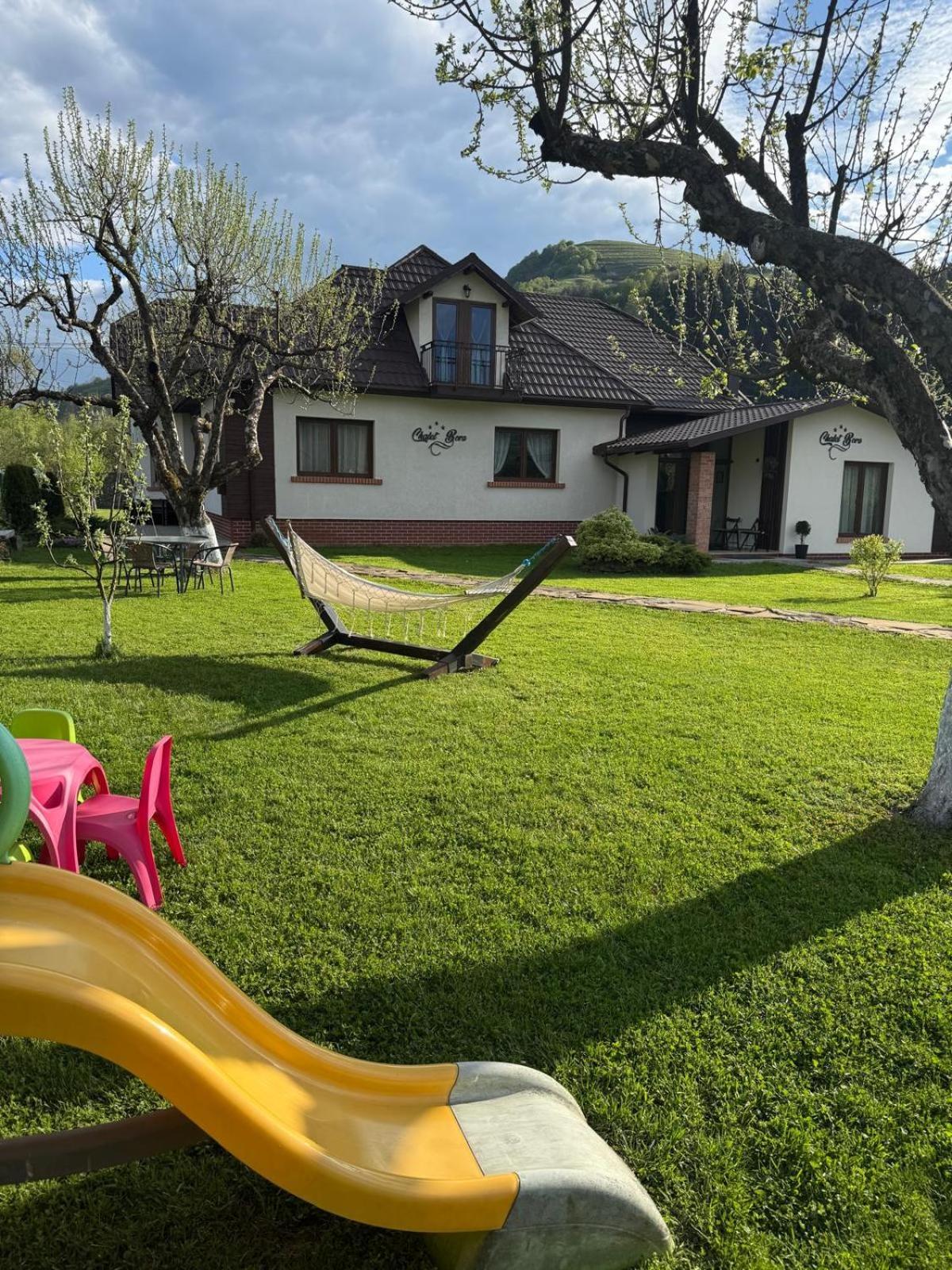 Chalet Bora Viseu de Jos Exterior foto